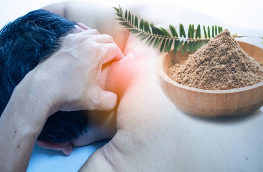 Cervical Spondyliosis  Naturopathy 1